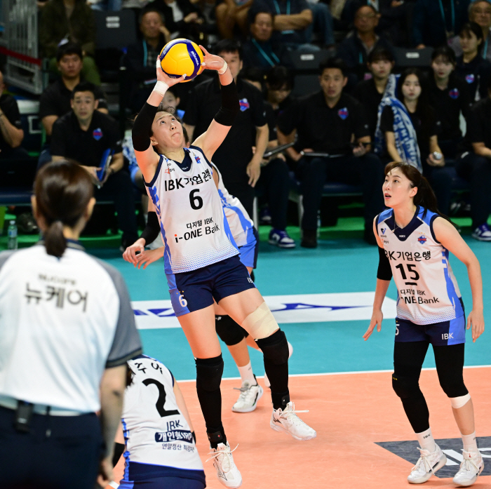 배구는 아버지, 한국말은 현빈 보며 배웠다…서른에 첫 해외진출, 8년만의…