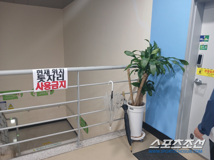 '안세영 파워 대단하네'전에 없던 진풍경 연출했다…밀양경기장 관중 폭발,…