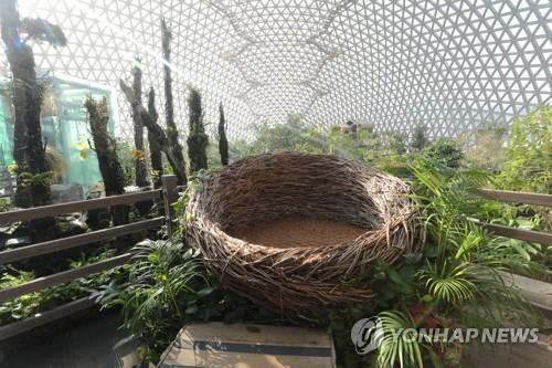 [연합뉴스 자료사진]