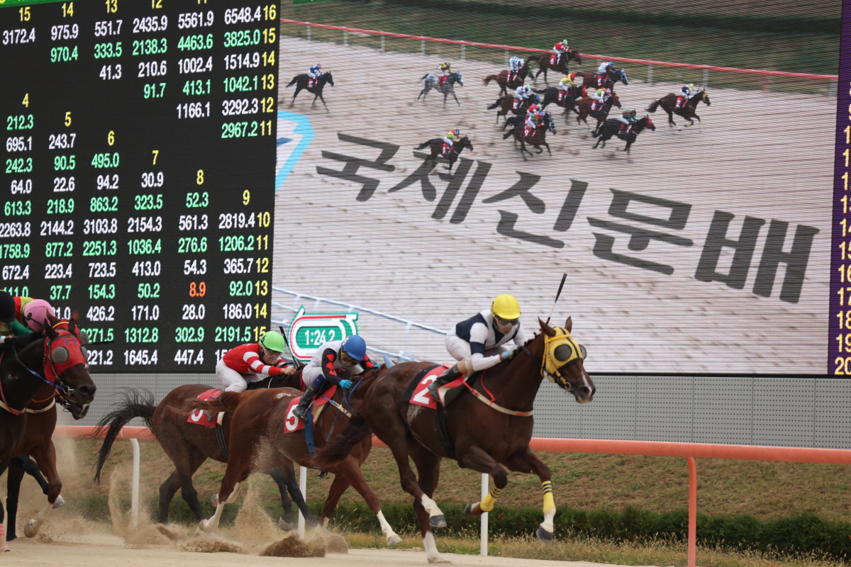 [경마]0.2초 차이…국제신문배 대상경주 '강서 자이언트' 우승