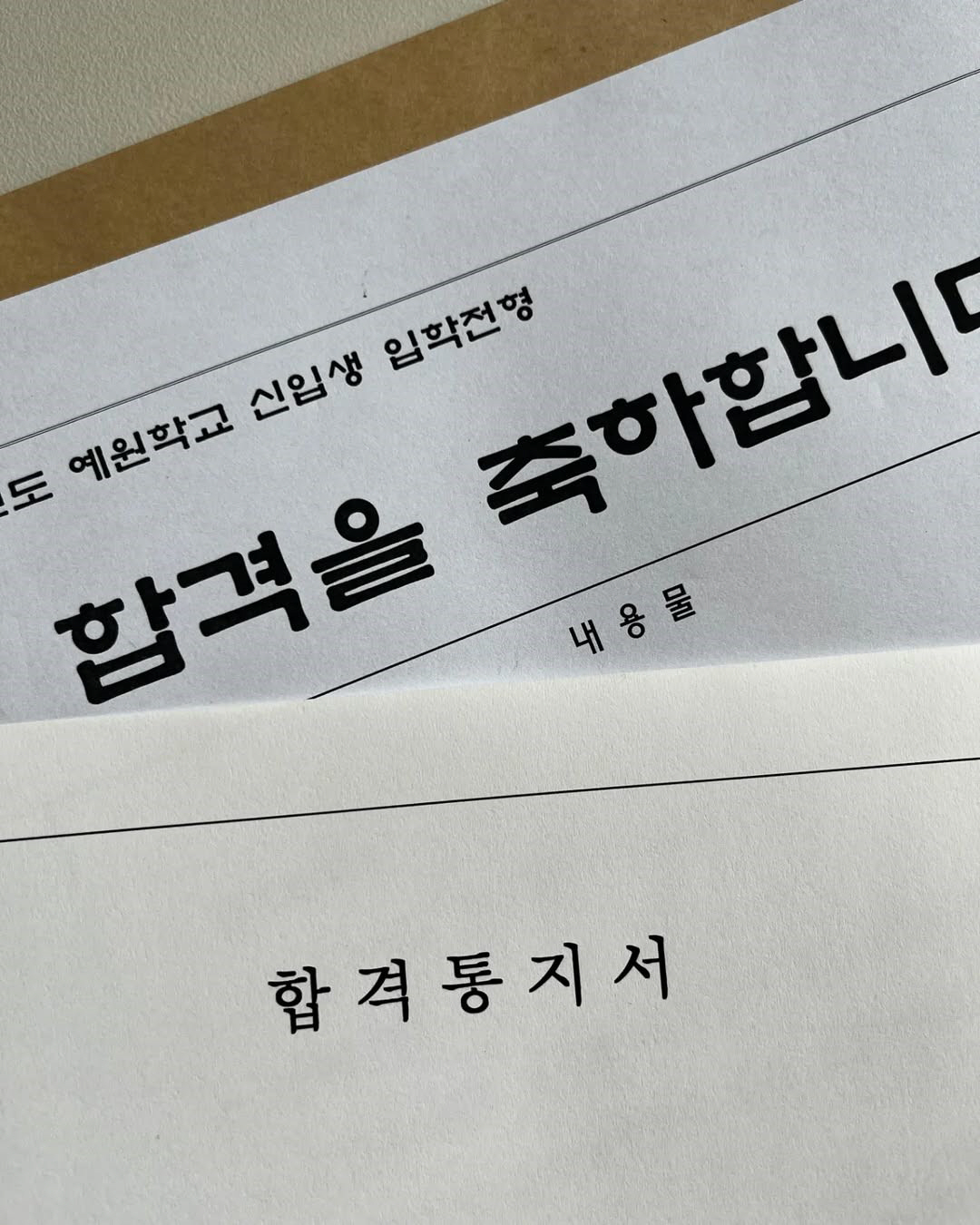 정시아, 자식농사 대박났다...12세 딸, 명문학교 입학→수준급 그림 실…