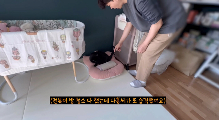 '김다예♥' 박수홍, 반려묘 다홍이 쫓아냈다..."100일 동안 출입금지…