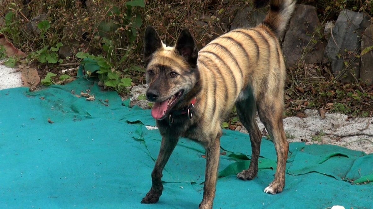 데프콘, ♥17세 연하와 열애설 터졌다 "천천히 알아가는 중"('동훌륭'…