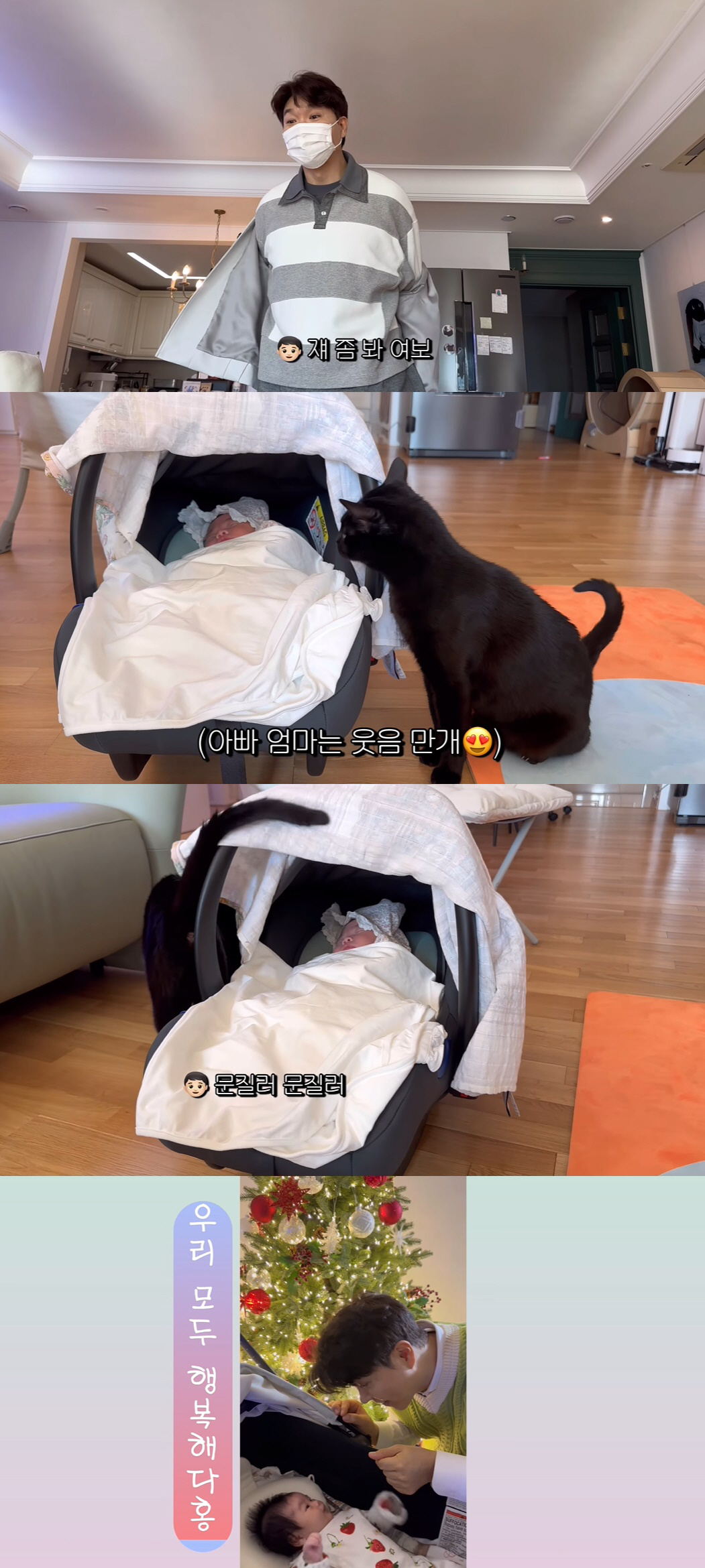 박수홍♥김다예, 딸·반려묘 첫만남서 '감격스러운 장면' 마주했다 "이게 …