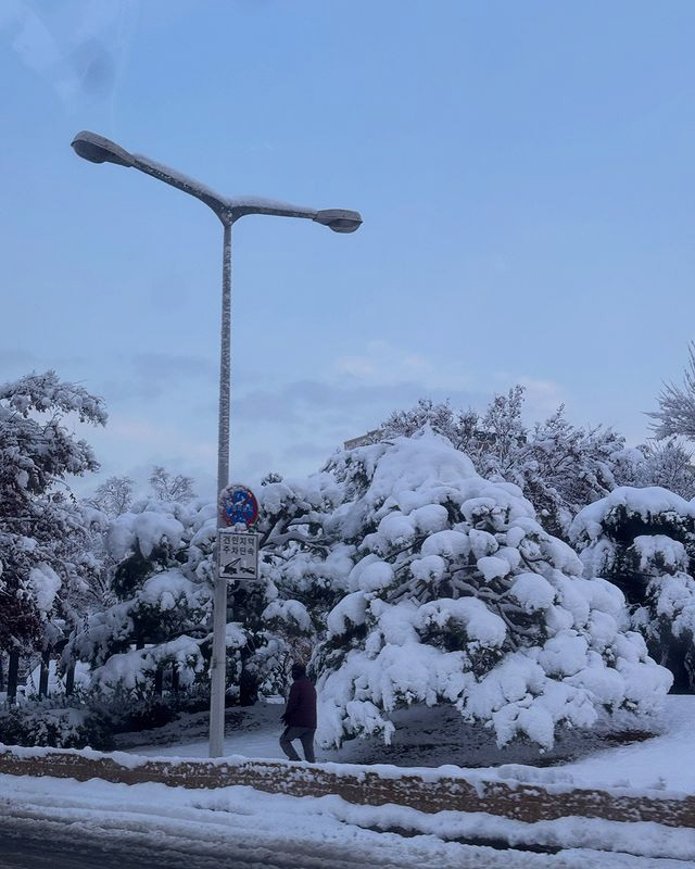 '최동석과 이혼' 박지윤, 악재 터졌다..제주 살이 쉽지 않네
