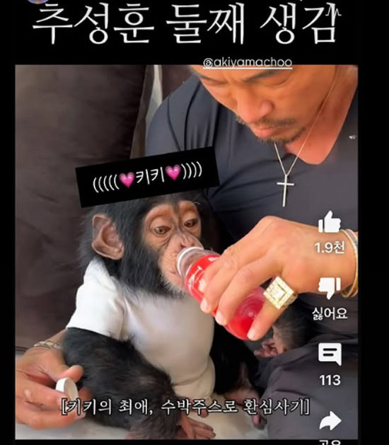 '야노시호♥' 추성훈, 둘째 생겼다…'똑 닮은' 외모에 흐뭇한 미소