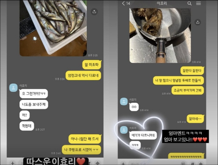 이효리, 60억家 이사하더니 요리 욕심까지…재료부터 "역시 다르네"