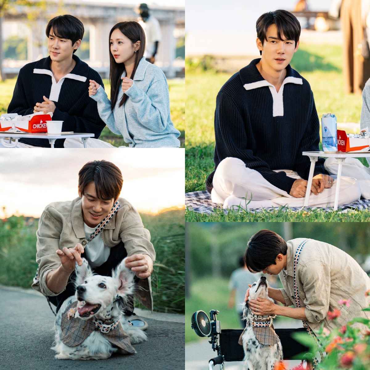 유연석 반려견 '리타', 드라마 데뷔..채수빈과 한강 피크닉 ('지거전'…