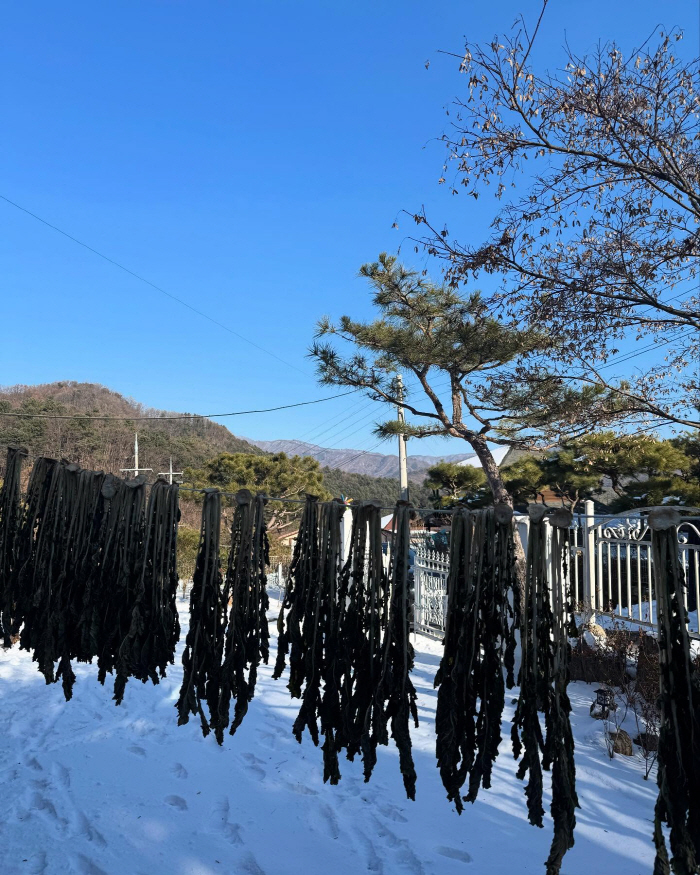 "착한 며느리 아니여서 죄송해요"…서효림, 故김수미 ?한 절절한 사모곡