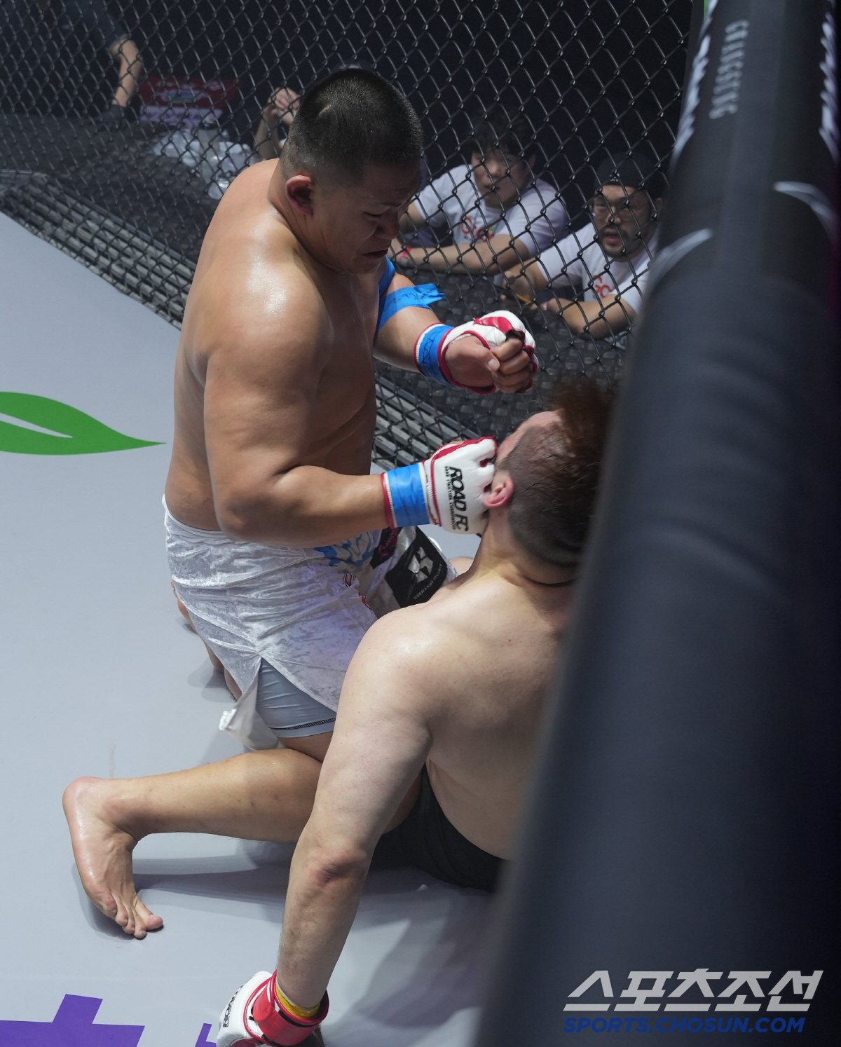'한국 파이터 망신이네...' 들어가다 두들겨 맞기만... 일본 파이터에…