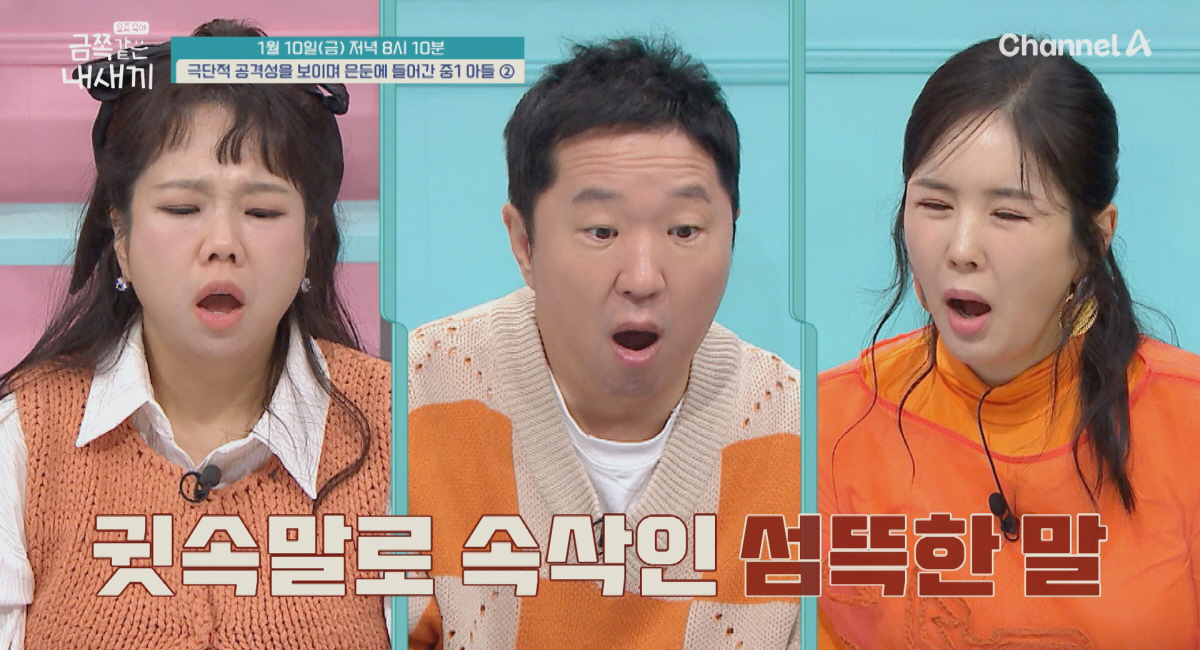 "XX버릴 거야" 母 귀에 대고 은밀한 폭언..중1 은든 금쪽이, 솔루션…