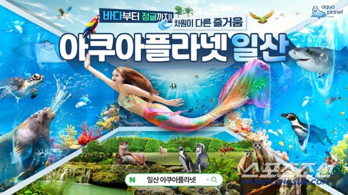 '오겜' 제기차기 나도 한 판? 꽁꽁언 을사년 추위 녹일 아쿠아플라넷 할인 이벤트 공개