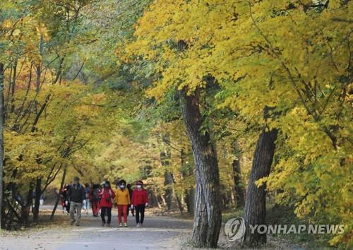 지난해 속리산 탐방객 10명 중 6∼7명 법주사·세조길 경유