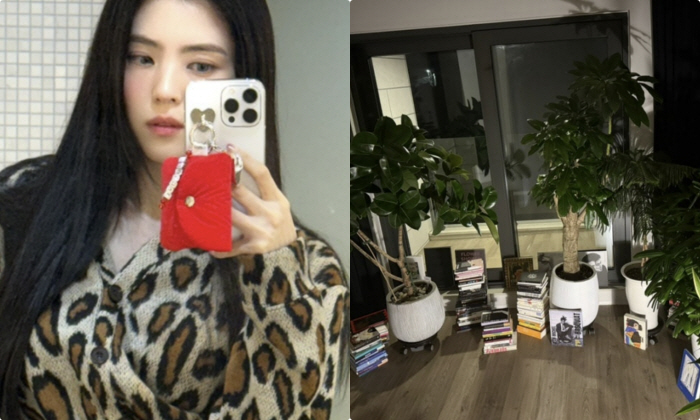 "편협·과오·자괴감 되돌아본 시간" 한소희, 개인사 구설후 닫은 블로그 …
