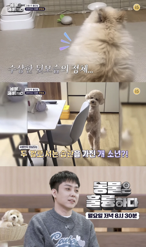 데프콘, 17세 연하♥와 핑크빛 터졌다..상대는 미모의 훈련사 ('동훌륭…