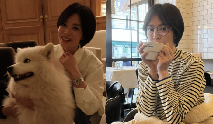 '숏컷' 송혜교, 파리서 수수美 폭발..생얼에 동글이 안경 '너무 잘어울…