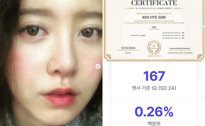 '페미니즘→태도 논란' 구혜선, 아이큐 142 인증..멘사 기준은 167…