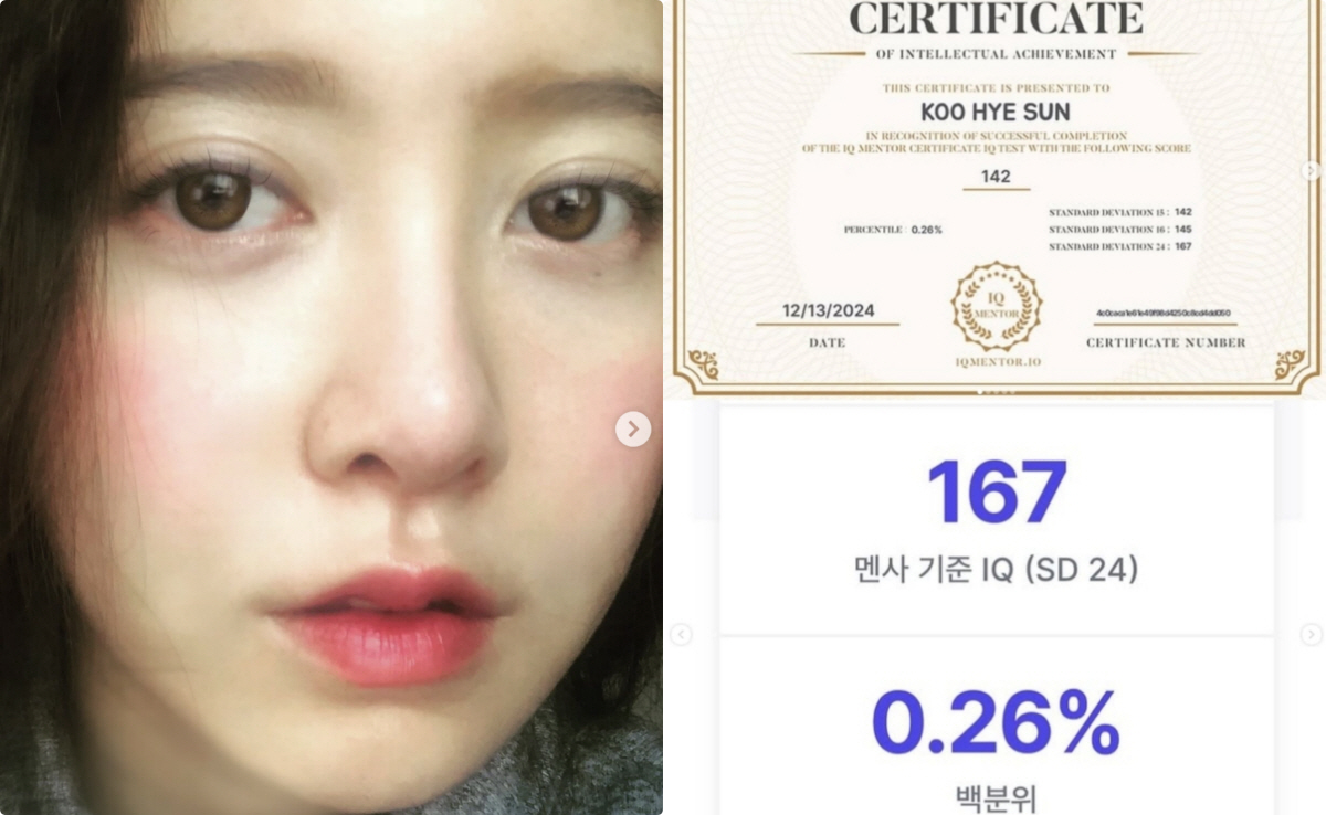 '페미니즘→태도 논란' 구혜선, 아이큐 142 인증..멘사 기준은 167…