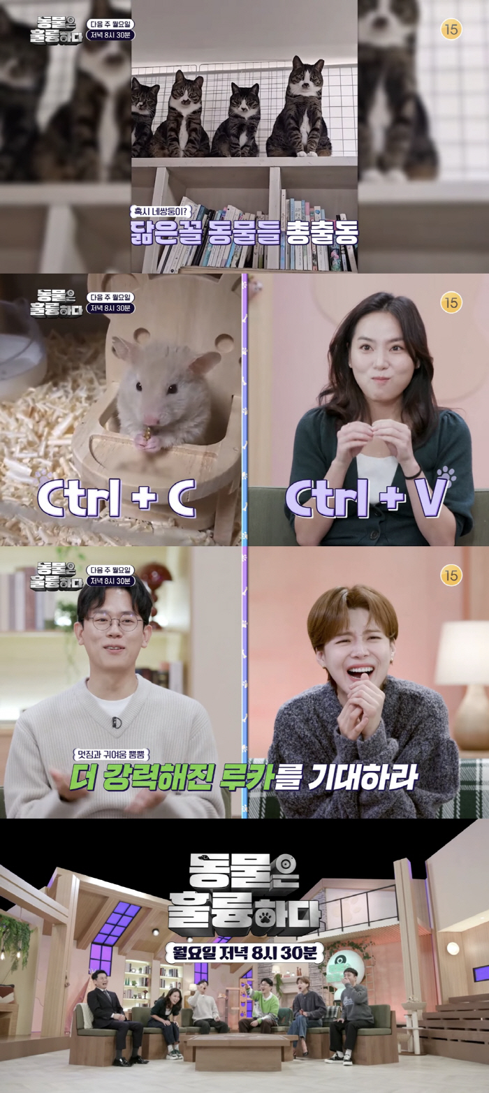 "감옥도 저렇게 안 해"…데프콘·장도연·은지원, 반려견 유치원 학대 사건…