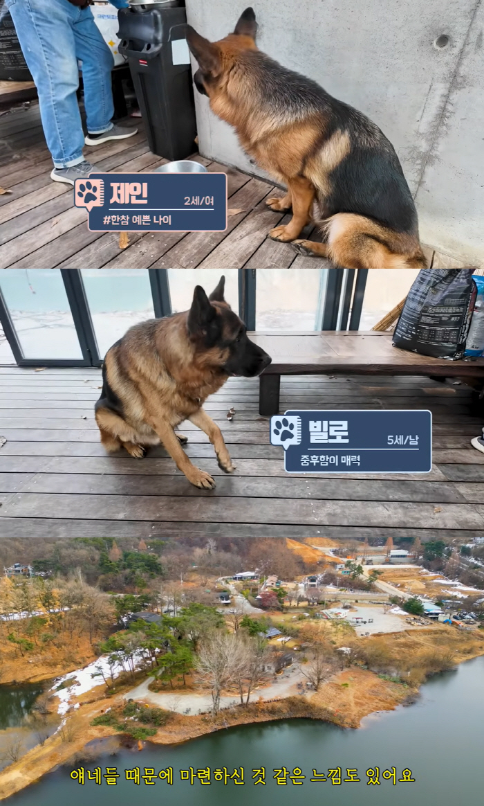 “4억 이상” 노주현, 역대급 몸값 반려견 공개→“‘子, 개털에 기도 막…
