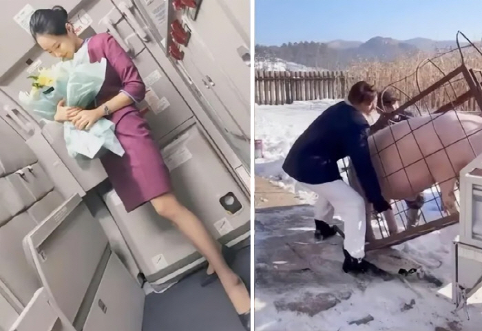 돼지 농장주로 변신한 여성 승무원 "2개월 만에 4천만원 벌어"