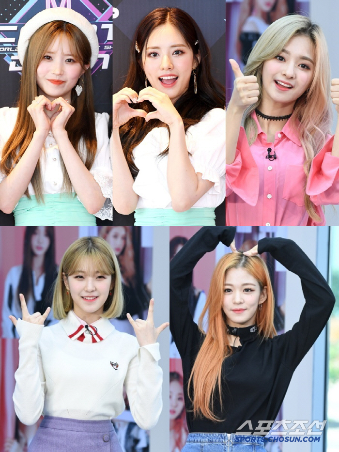 [공식] 프로미스나인, 결국 흩어졌다…5명만 어센드에 새 둥지(전문)