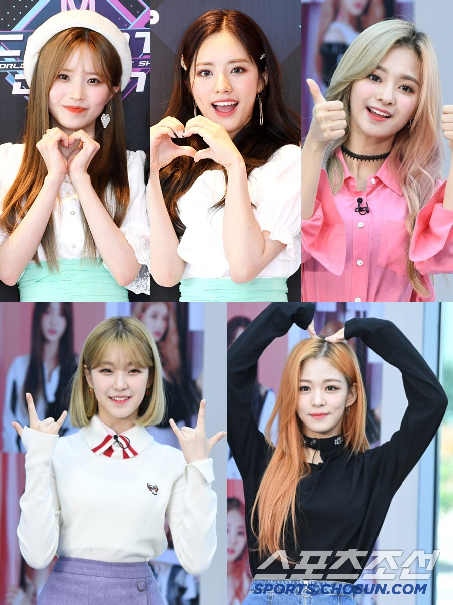 [공식] 프로미스나인, 결국 흩어졌다…5명만 어센드에 새 둥지(전문)