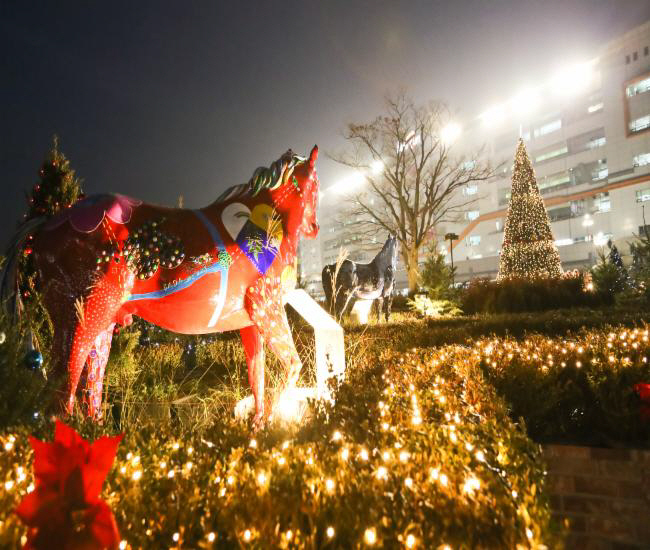 [경마]31~2일 경마, 설 연휴 휴장