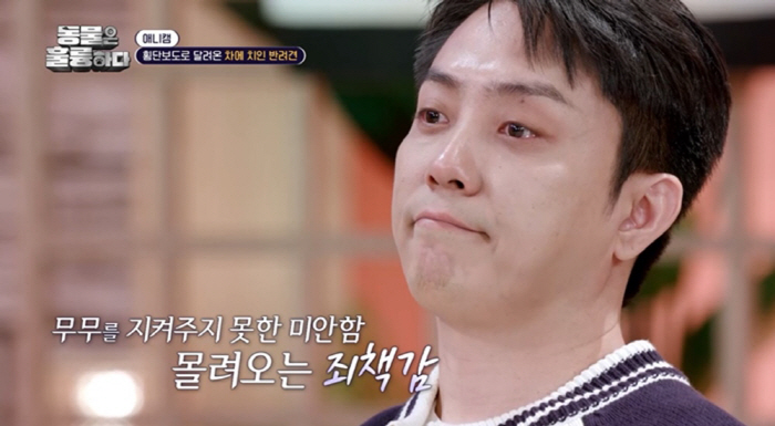 장도연, 녹화 도중 오열...안타까운 '반려견 사고' 충격 영상에 은지원…
