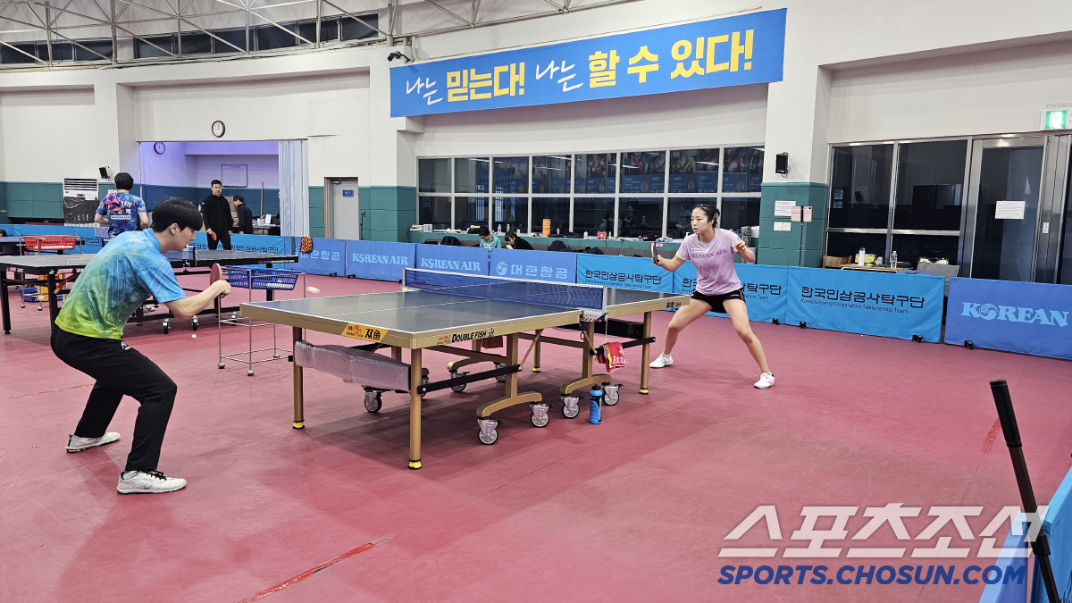 "설날,女탁구 에이스 다모였네!" 신유빈VS주천희VS서효원,주세혁 감독이…