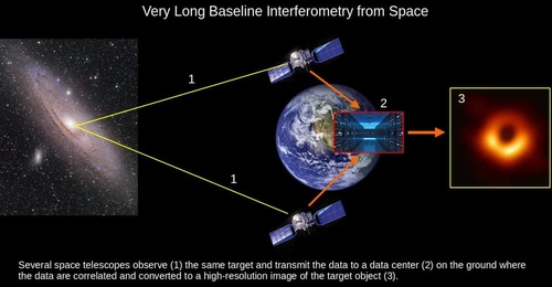 [샤샤 트리페 교수 제공. 재판매 및 DB 금지]