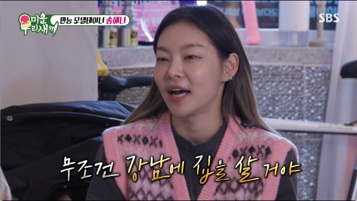 '38세' 송해나 "강남에 자가 마련, 5년 전 매입해 현재 집값 올라"…
