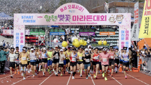 내달 30일 합천벚꽃마라톤대회에 1만3천명 달린다…역대 최다