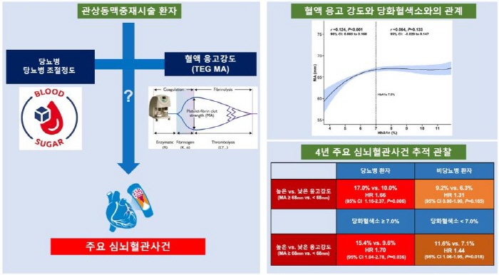 당뇨병 환자 심혈관계 예후, 혈액의 '응고 강도'와 연관…치명률 최대 3…