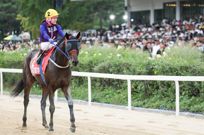 [경마]도전은 계속된다…글로벌히트, 3월 알 막툼 클래식 출전 결정
