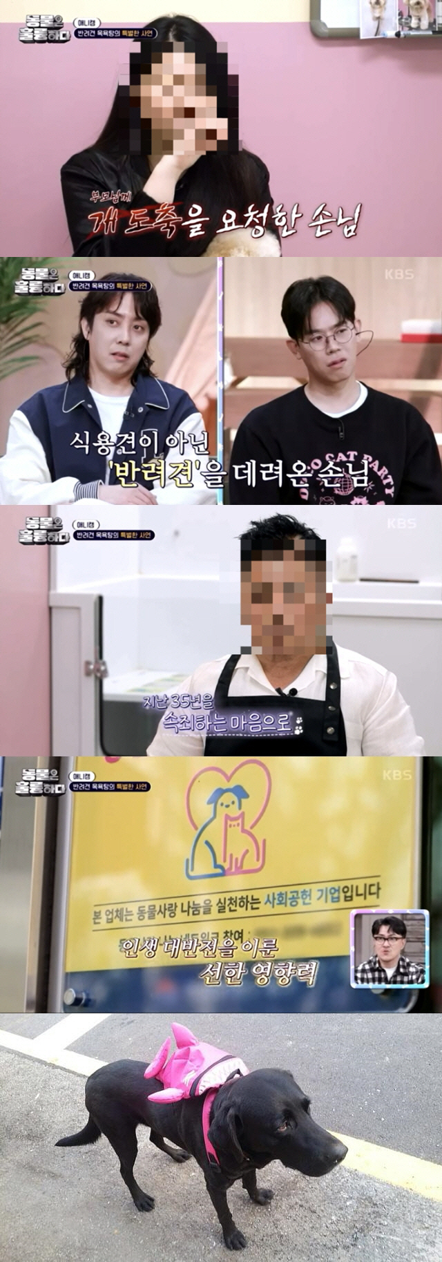 [공식] '동훌륭', 훔친 반려견 '개소주' 만든 도살업자 미화논란 3개…