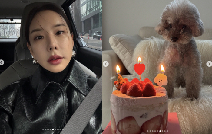 김준희 돈 얼마나 많으면 "별장서 반려견 생파+60만원 명품 스타킹 사망…