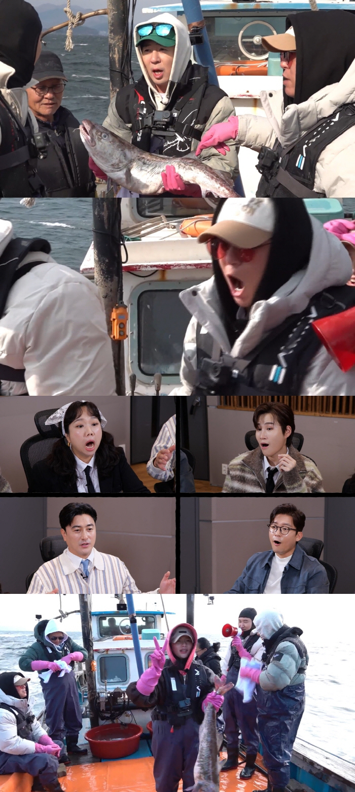 "이거 진짜에요?" "1m는 되는 듯"…압도적 실루엣에 '흥분' "10명…