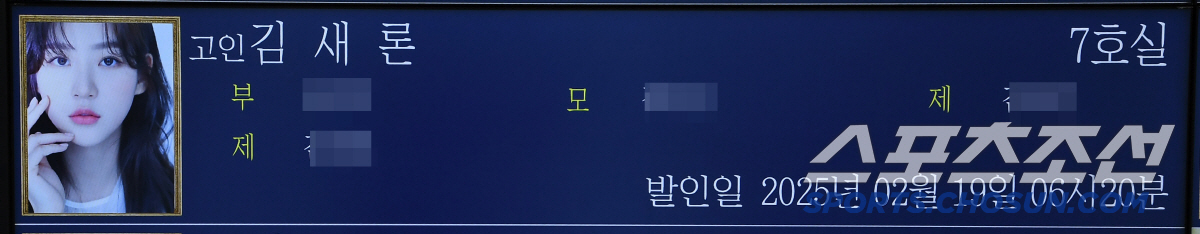 故김새론 비보에…원빈은 취재진 앞→미교는 악플러 일침, 애통한 스타들[S…