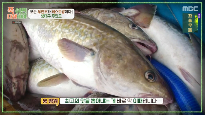 '푹다행' 급식대가가 끓여준 생대구탕…해장국으로 좋은 이유