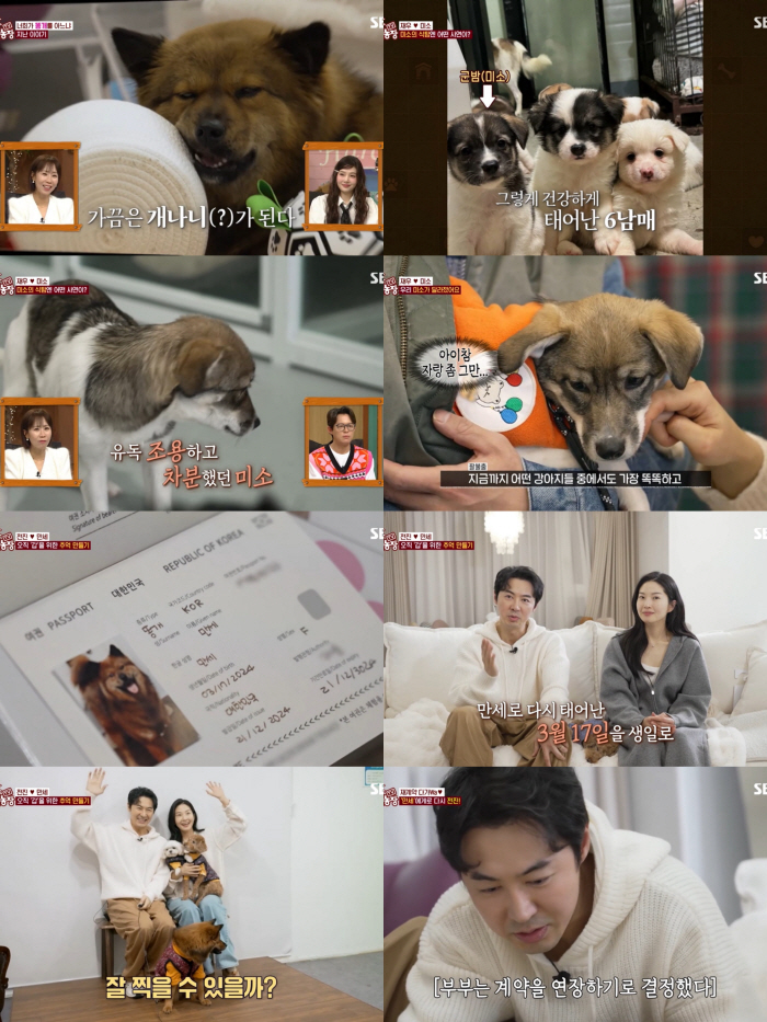 전진♥류이서, 계약서 다시 꺼냈다..이별의 날 '동거 연장' 결정 ('동…