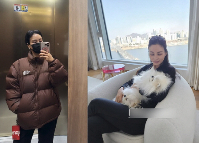 '장동건♥' 고소영, 164억 家서 딸 생일파티...왕관 케이크 준비한 …