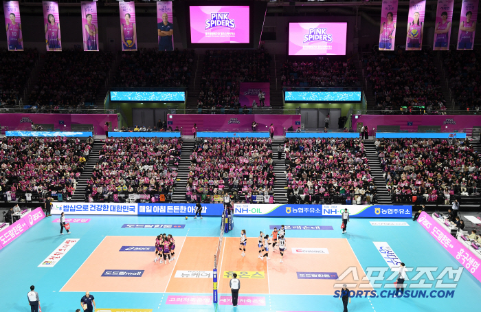 '지금 아니면 못본다' 김연경의 라스트댄스→37세 생일, 넘쳐흐른 핑크빛…