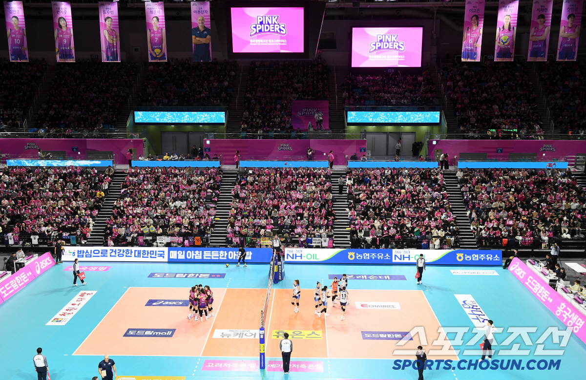 '지금 아니면 못본다' 김연경의 라스트댄스→37세 생일, 넘쳐흐른 핑크빛…