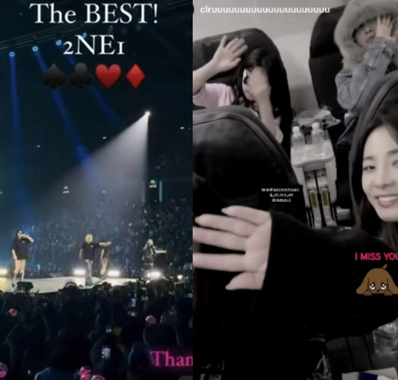 2NE1, 이민호 아내 사칭→무대서 박수만 친 '금쪽이 박봄' 품었다[S…
