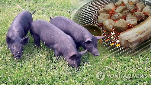 [연합뉴스TV 제공]