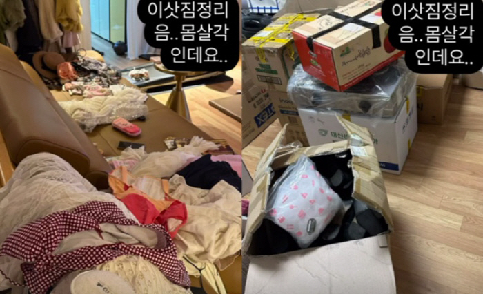 함소원은 몸살 vs 진화는 술·여행..이혼 후 극과극 일상
