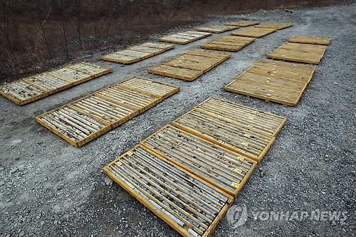 (양양=연합뉴스) 이종건 기자 = 광물 가격 상승으로 지난 1995년 문을 닫은 양양 철광을 재가동하는 작업이 본격적으로 시작돼 지역주민들의 이목이 쏠리고 있다. 양양 철광에서는 지난해 시추작업에서 희토류가 일부 발견된 것으로 알려져 관련 업계의 관심을 끌고 있다. 사진은 광물자원공사가 지난해 실시한 양양 철광 시추작업에서 시추해 놓은 암석들. 2011.1.24 momo@yna.co.kr