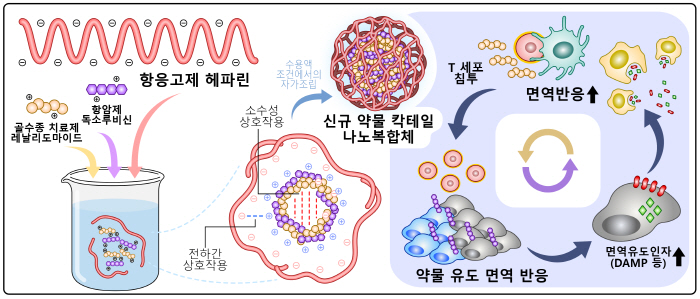 고형암 치료용 나노복합체 개발…다양한 암 치료 전략 제시