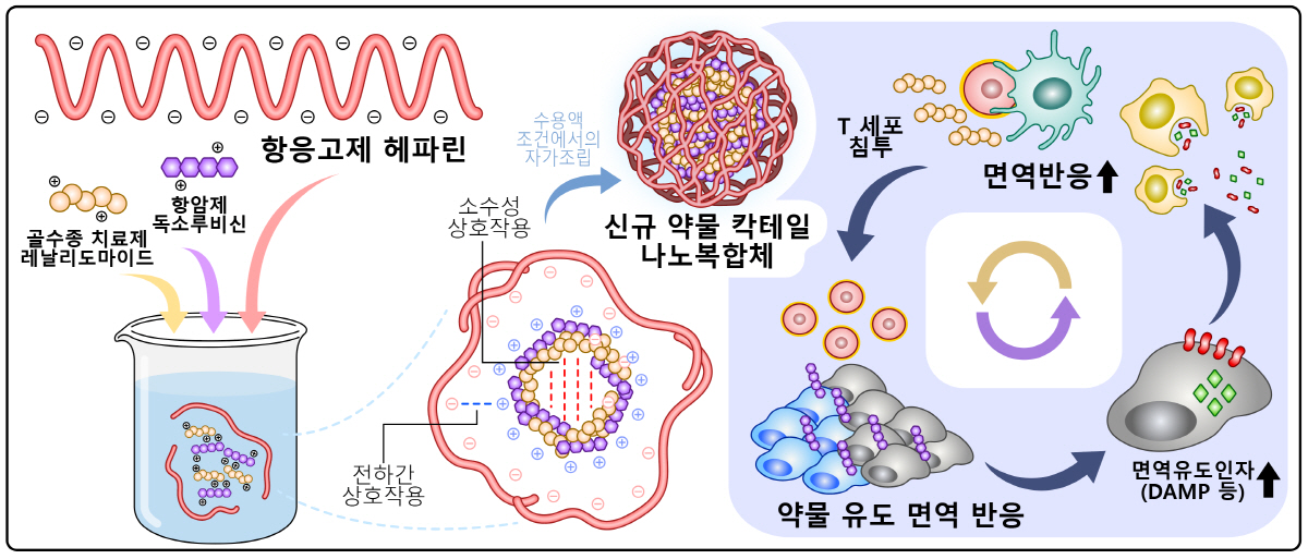 고형암 치료용 나노복합체 개발…다양한 암 치료 전략 제시